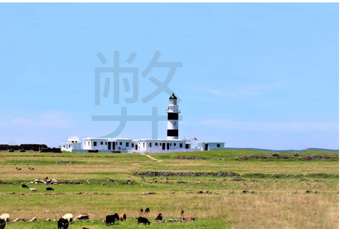 杜絕工程舞弊公務員應從己身做起-圖片來源FAM